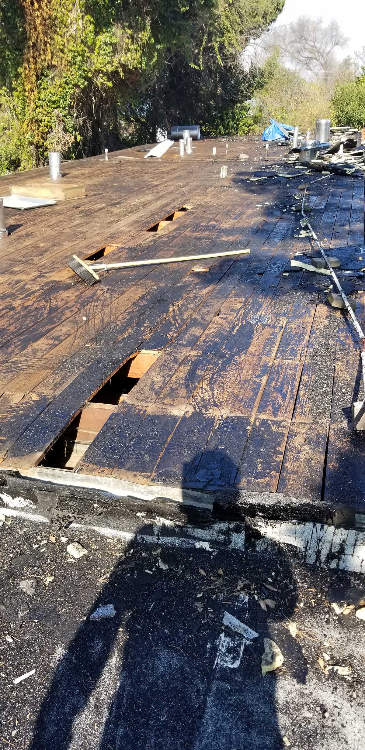 Modesto Rehab, Flip 1