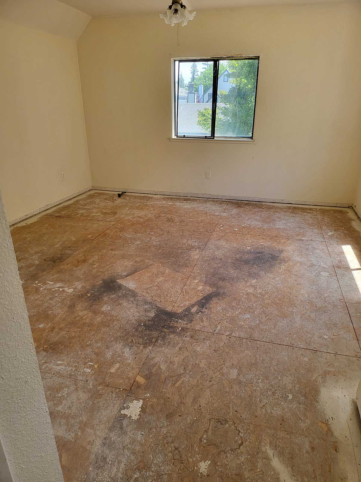 Manteca Rehab 2